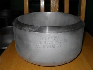 S 31803  Pipe Cap