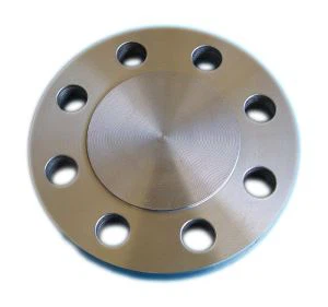 Hastelloy B3 Blind FLANGE